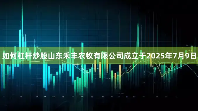 如何杠杆炒股山东禾丰农牧有限公司成立于2025年7月9日