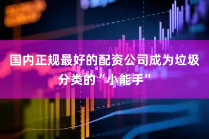 国内正规最好的配资公司成为垃圾分类的“小能手”